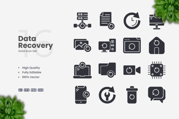 Data Recovery Solid Graphics